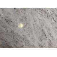 3200x1600mm Alpine White Natural Tiles and Marbles Price